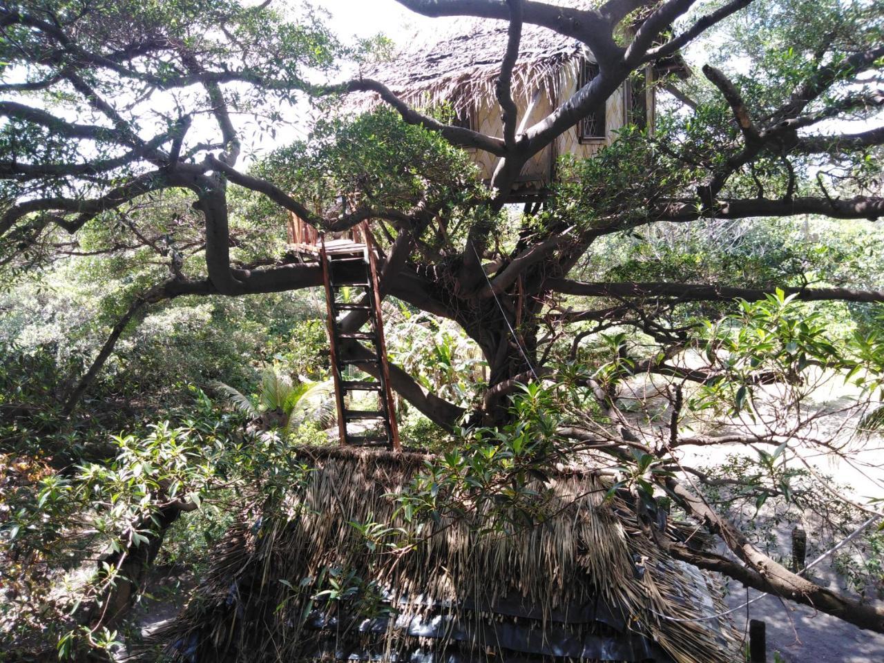 Island Vision Tree Lodge Tanna Island 外观 照片